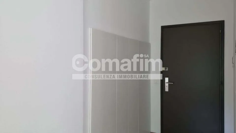 Affittasi luminoso appartamento di 3.5 locali a Lugano-Loreto
