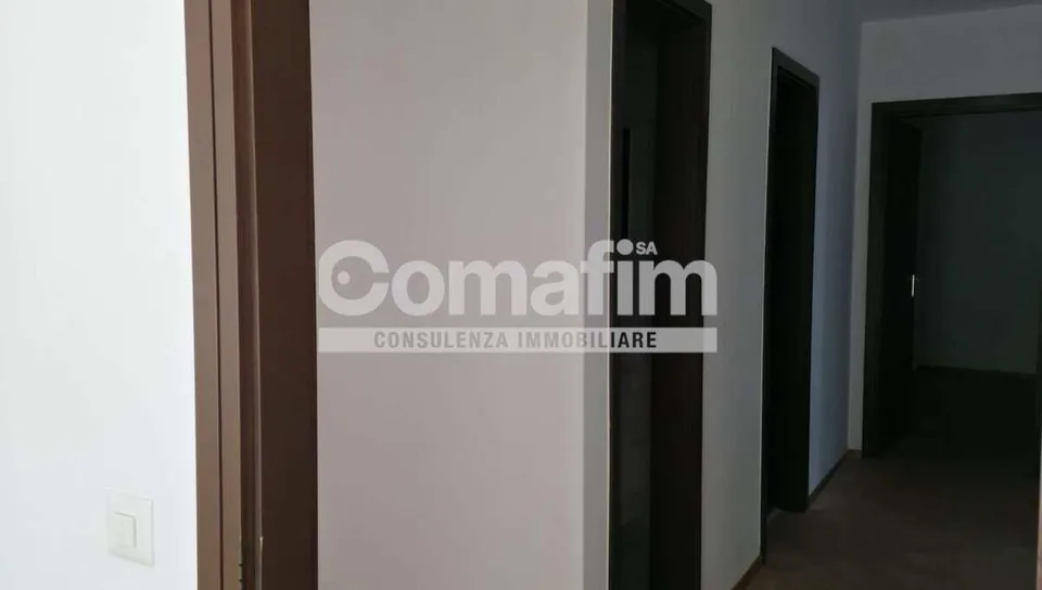 Affittasi luminoso appartamento di 3.5 locali a Lugano-Loreto