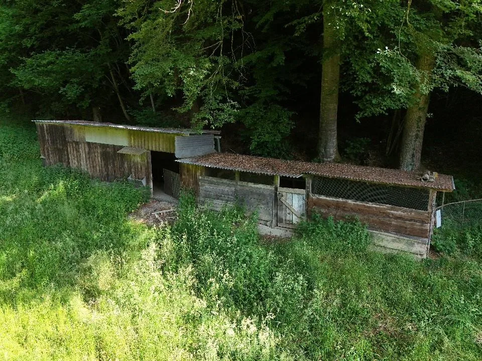 Flächen für Nachhaltigkeits-, Selbstversorgungs- und Kleintierprojekte