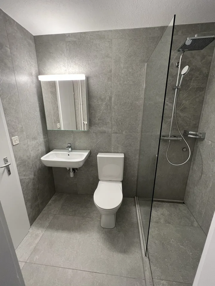 3 Zimmer Dachwohnung
