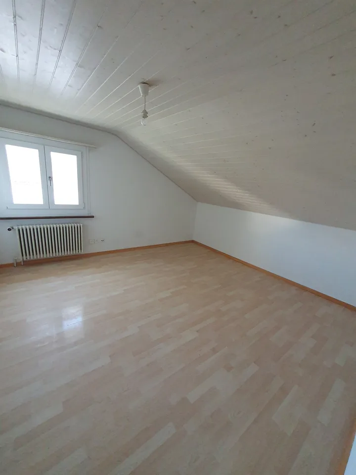3 Zimmer Dachwohnung
