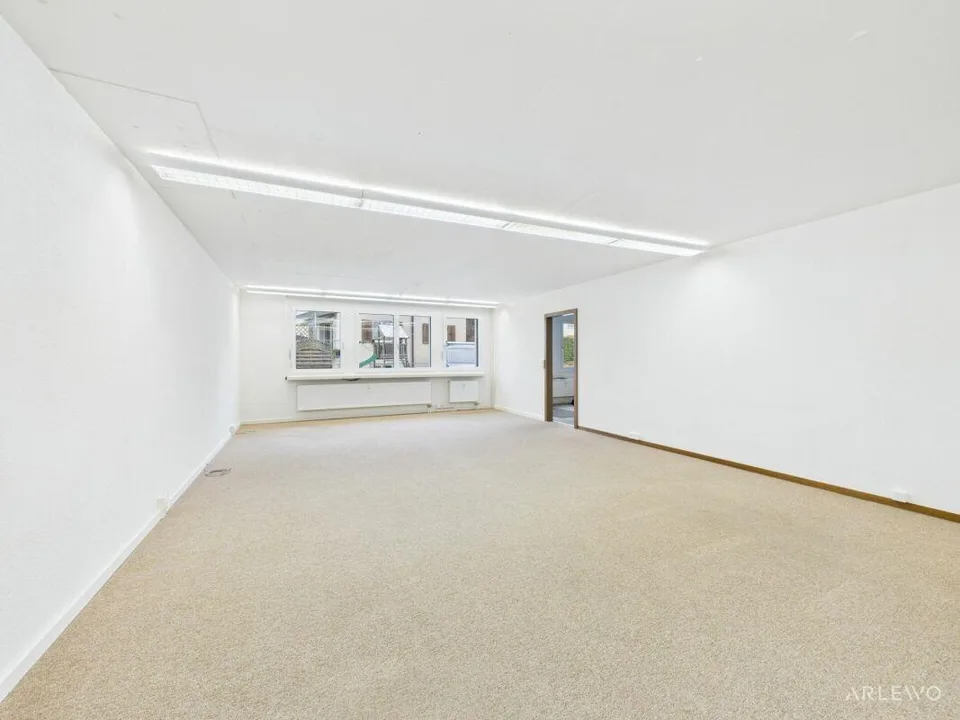 Gewerbefläche Hochdorf - zentral & ruhig