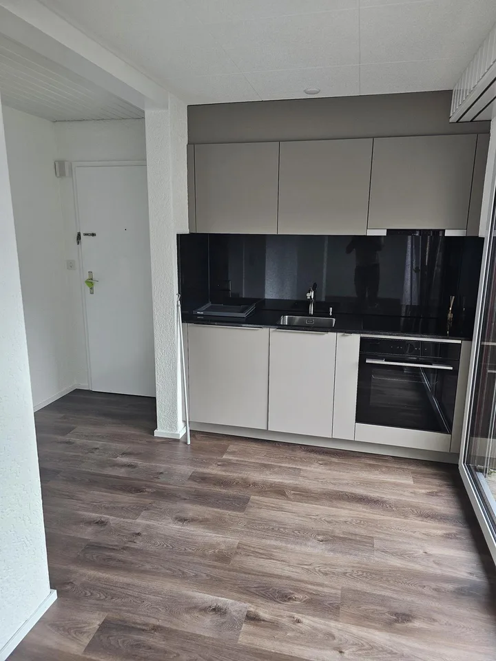 frisch renovierte 2 1/2-Zimmerwohnung an ruhiger Lage