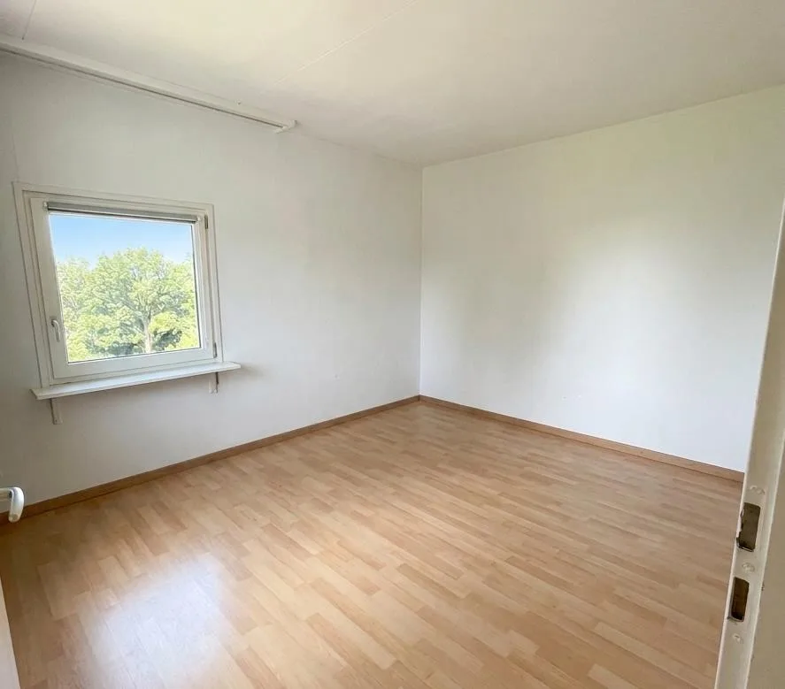 Singles aufgepasst: Wohnen mit Komfort statt Kompromissen