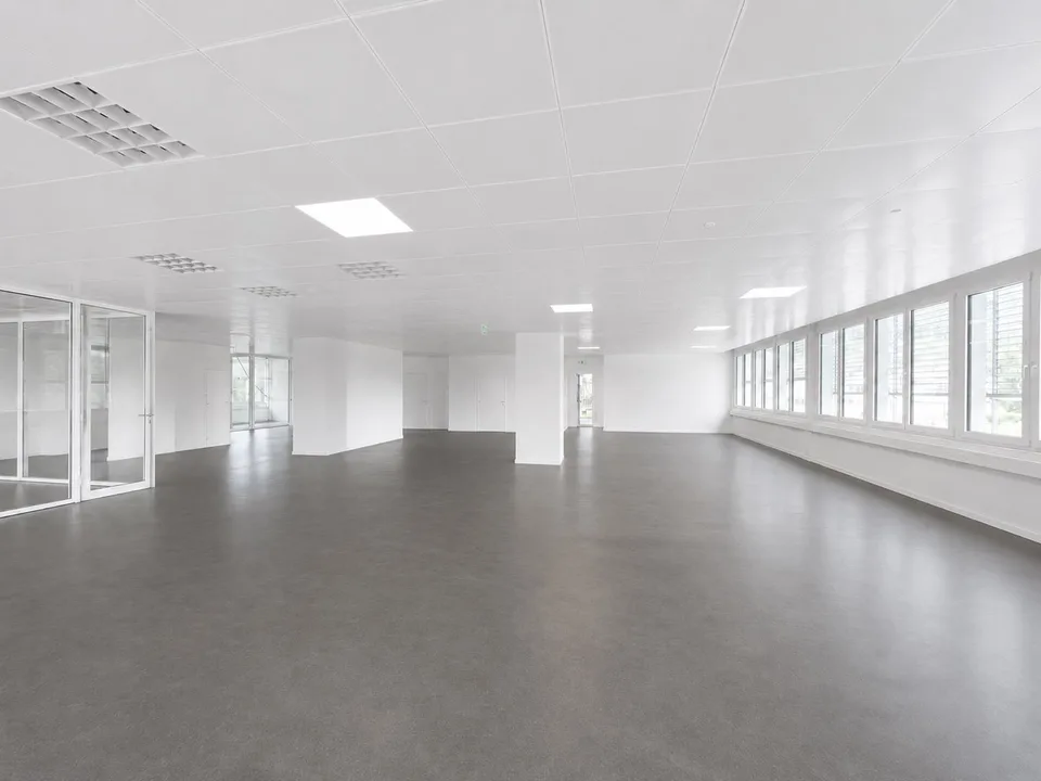 Moderne und flexible Büroflächen mit viel Tageslicht