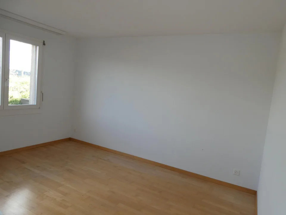 6 1/2-Zimmer-Einfamilienhaus an unverbaubarer Aussichtslage