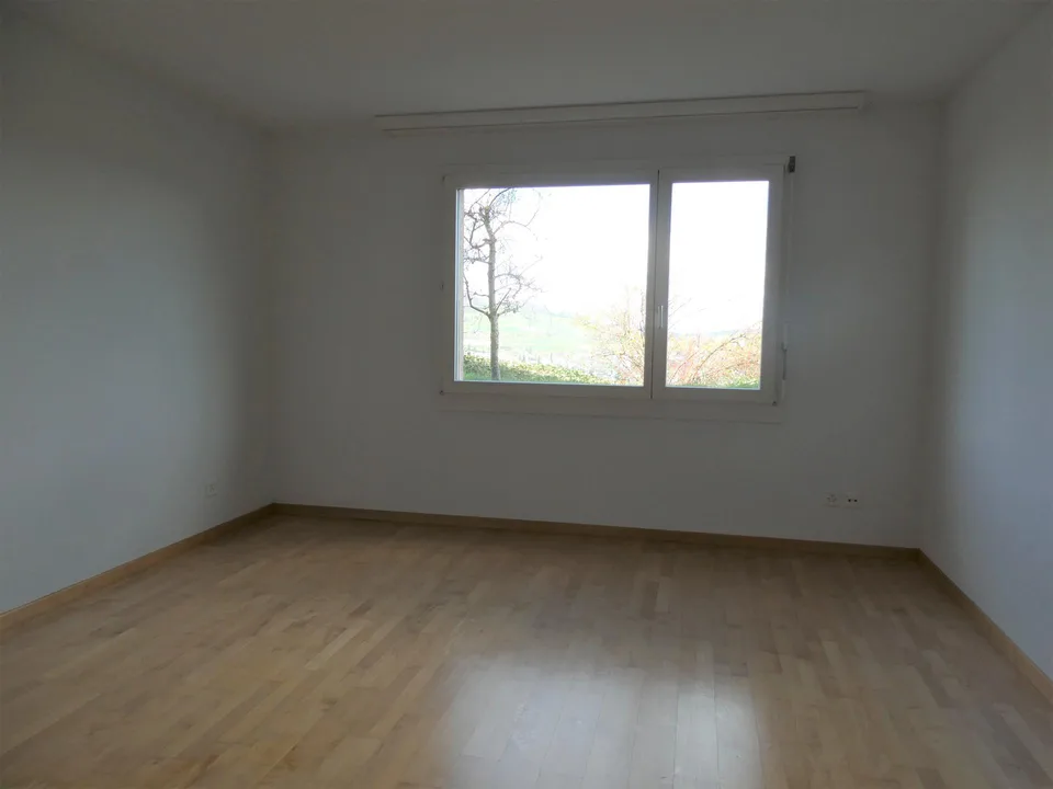 6 1/2-Zimmer-Einfamilienhaus an unverbaubarer Aussichtslage