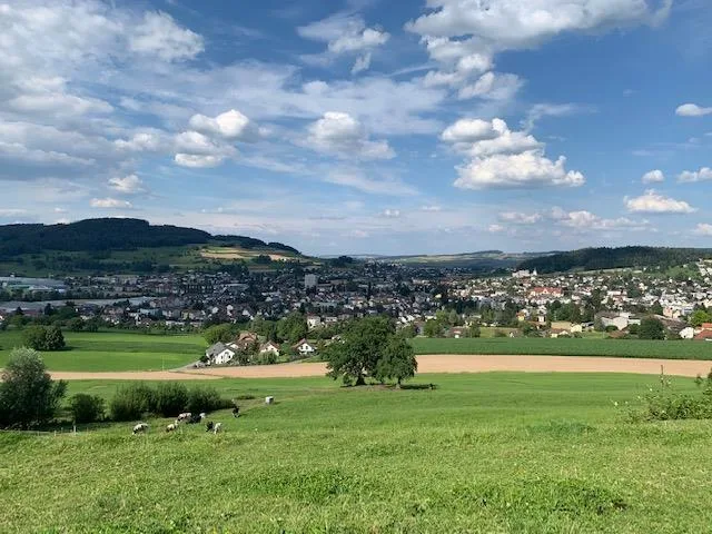 6 1/2-Zimmer-Einfamilienhaus an unverbaubarer Aussichtslage