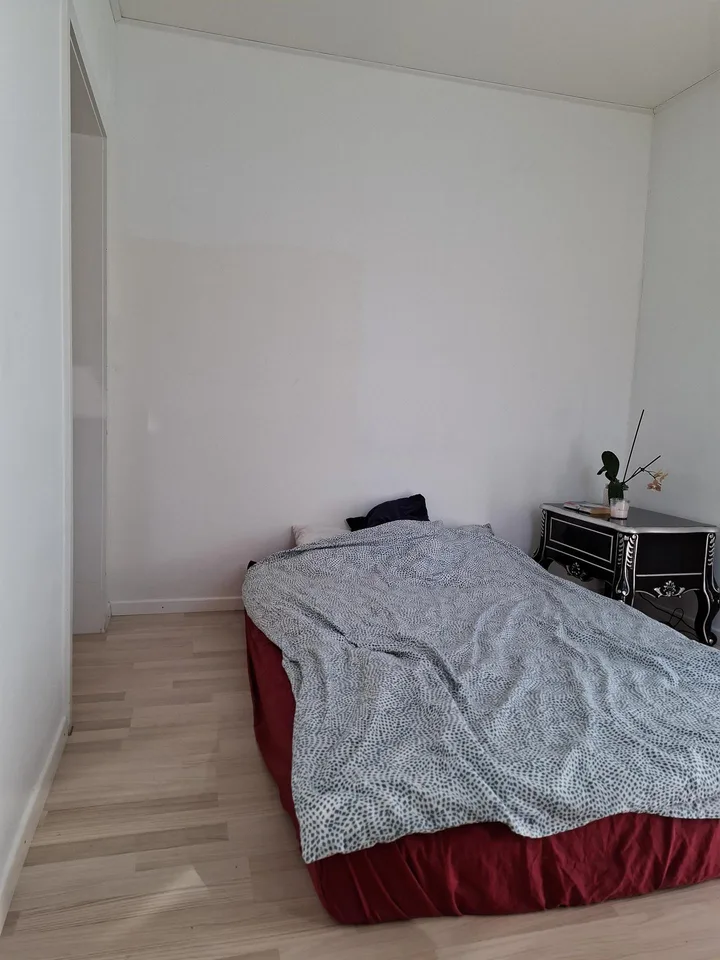 2 Zimmer Wohnung / Whg. No. 2