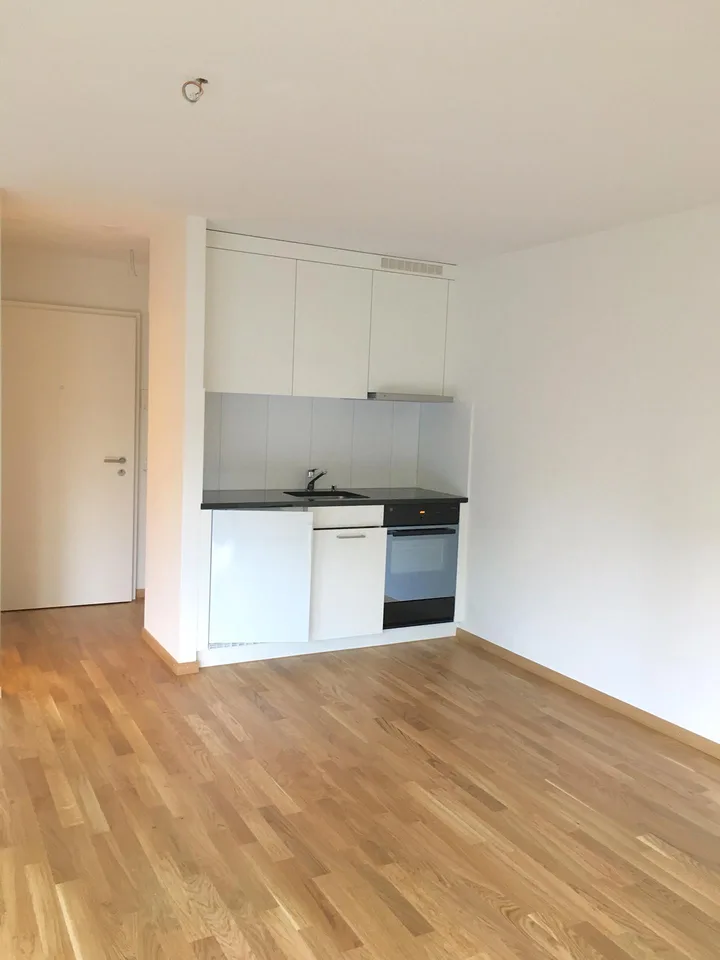 1.5 Zimmer Wohnung mit grossem Balkon