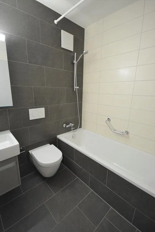 Wohnung im Wankdorf zu vermieten