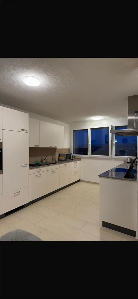 3 1/2- Zimmer Dachwohnung frisch renoviert