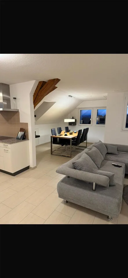 3 1/2- Zimmer Dachwohnung