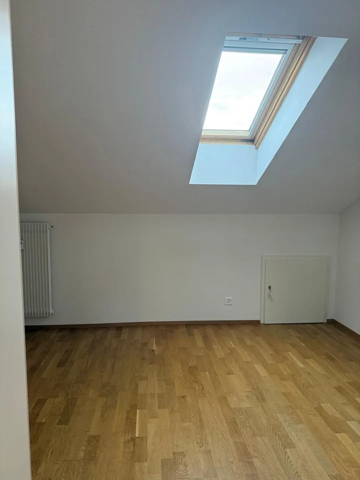 3.5 Zi Dachwohnung