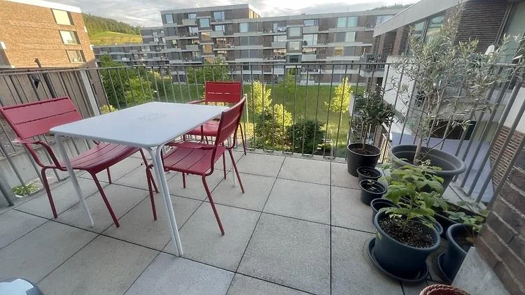 4½ ZI-WOHNUNG IN WINTERTHUR - WÜLFLINGEN, MÖBLIERT, TEMPORÄR