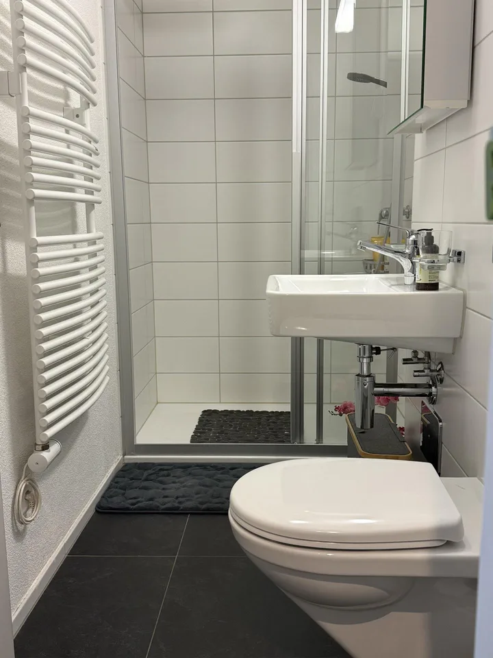 4.5 Zimmer-Wohnung am See im Eigentumsstandard