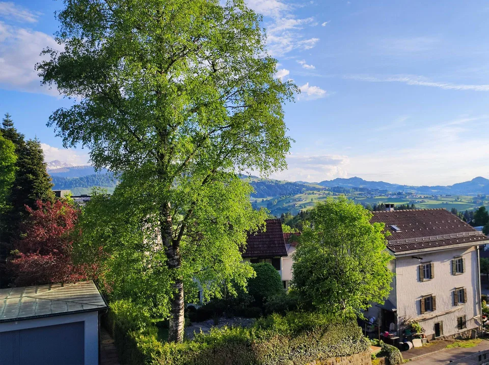 Helle 4-Zimmerwohnung mit Balkon in Teufen - frisch gestrichen! – Foto 9 von 10
