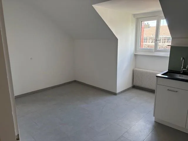 Dachwohnung VIS À VIS ROSENGARTEN!