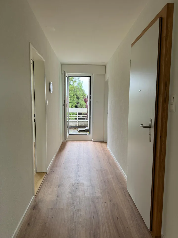 Charmante 5-Zimmer-Attika - An der Dianastr. 10, 9000 St. Gallen