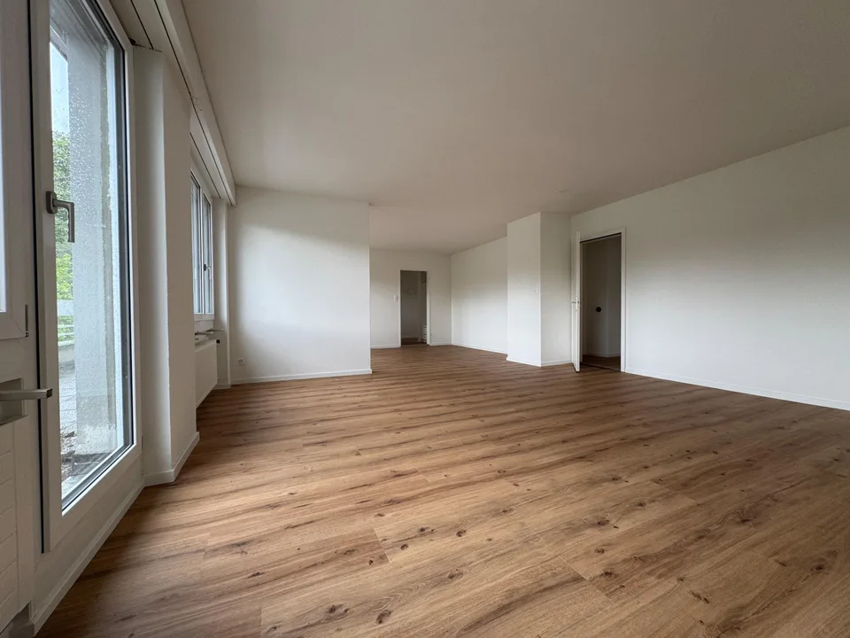 Charmante 5-Zimmer-Attika - An der Dianastr. 10, 9000 St. Gallen
