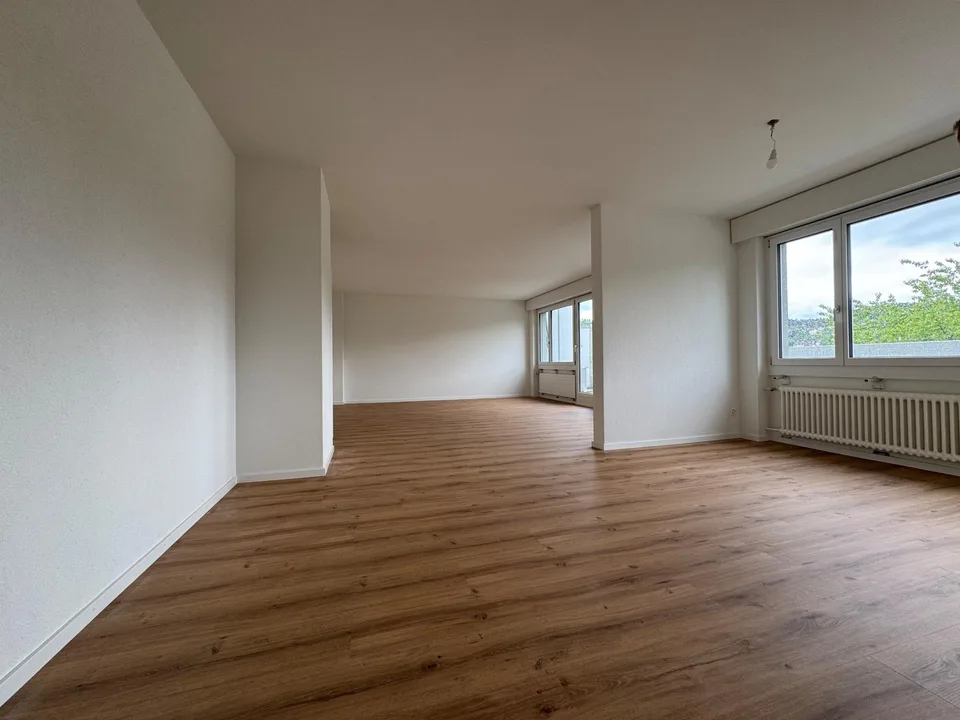 Charmante 5-Zimmer-Attika - An der Dianastr. 10, 9000 St. Gallen