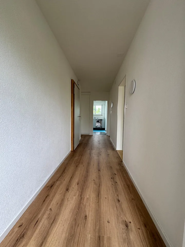 Charmante 5-Zimmer-Attika - An der Dianastr. 10, 9000 St. Gallen