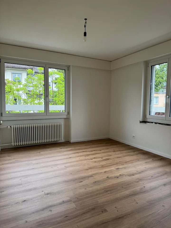 Charmante 5-Zimmer-Attika - An der Dianastr. 10, 9000 St. Gallen