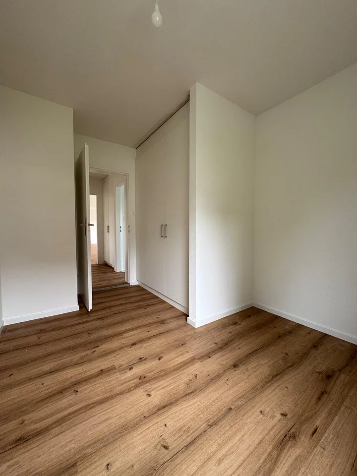 Charmante 5-Zimmer-Attika - An der Dianastr. 10, 9000 St. Gallen – foto 9 di 13
