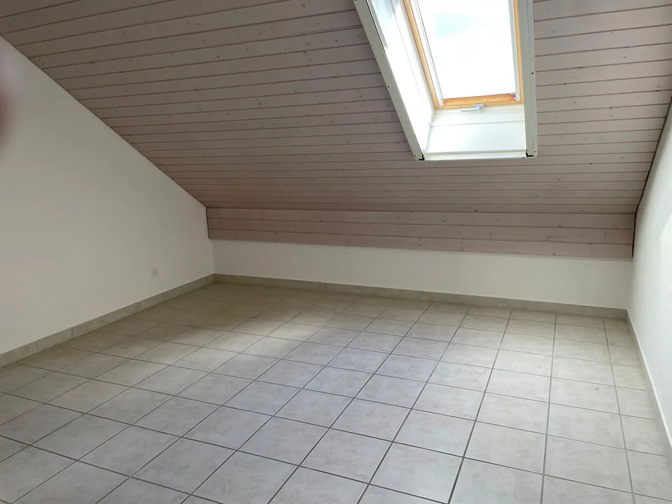 Attikawohnung im Grünen