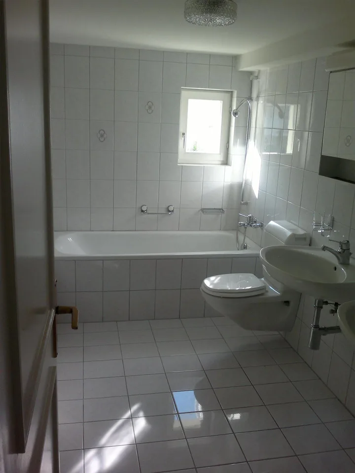 direkt zum See 6½-Zimmer Maisonette mit 72m² Terasse mit Seesicht – photo 8 sur 13
