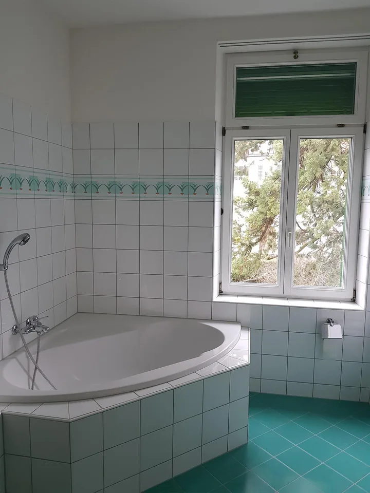riesige herrschaftliche 3½-ZR Stadt-Wohnung mit Balkon und Garten – foto 9 di 10