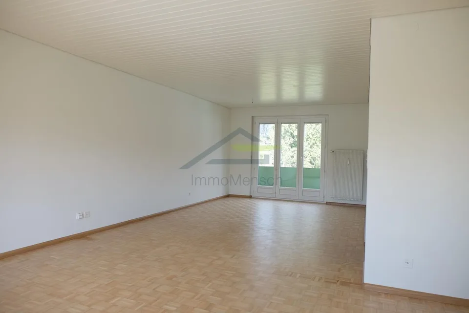 Ampio appartamento di 3,5 stanze in affitto a Riehen