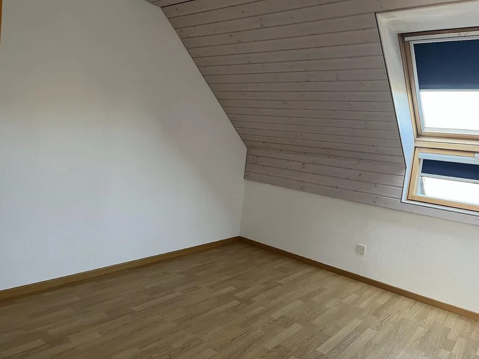Helle sonnige 4.5 Zimmerwohnung