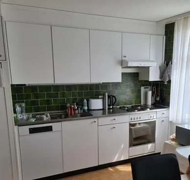 Helle renovierte 4-Zimmer-Wohnung