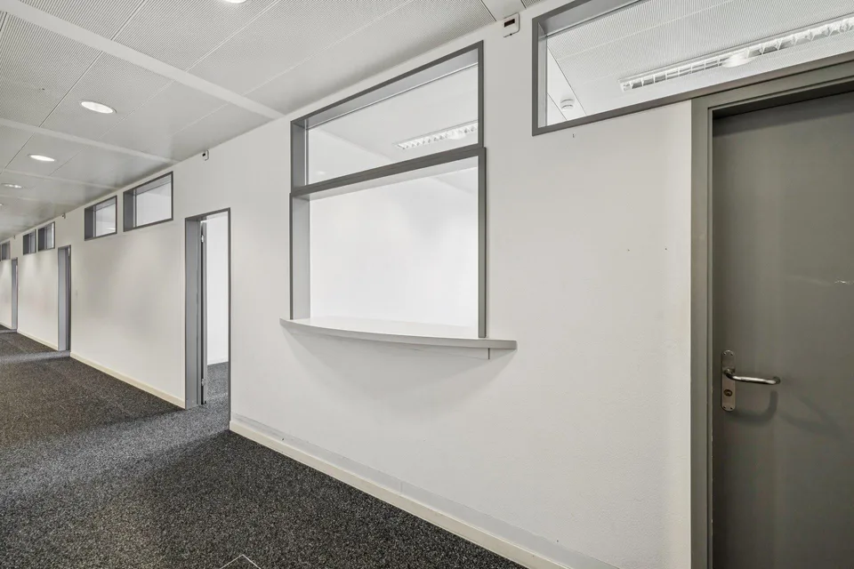 Ca. 1'467 m2 Büro (unterteilbar) Geschäftshaus "Im Letten" Allschwil – foto 8 di 15