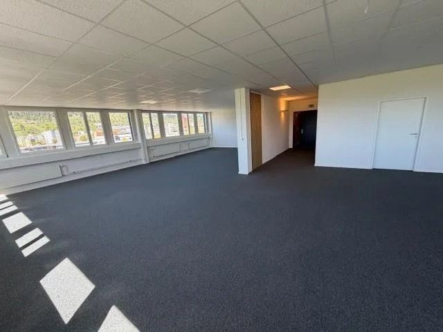 Surface idéale pour bureau - Bel immeuble représentatif pour bureau...