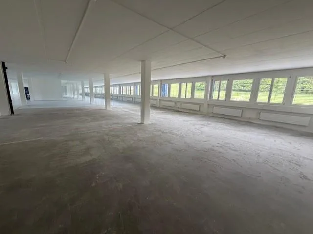 Chemin de la Combeta 3-5 - Bel immeuble représentatif pour bureaux,...