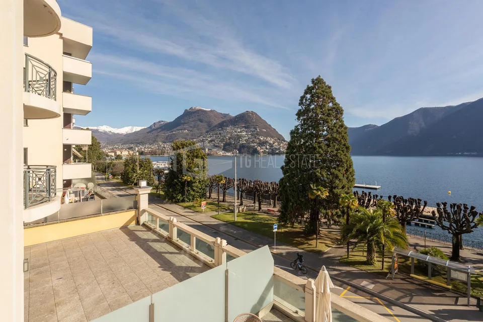 SPLENDIDO APPARTAMENTO CON GRANDE TERRAZZA E VISTA LAGO
