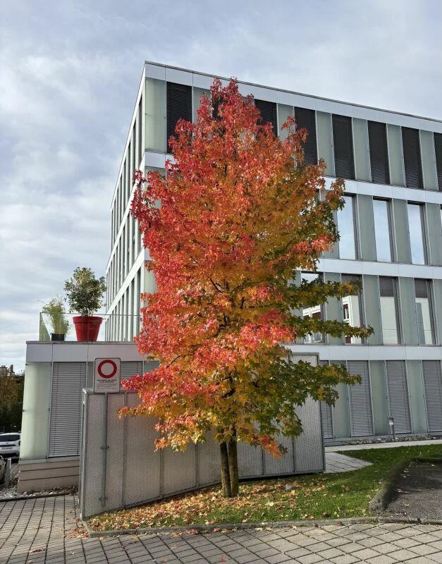 Dernière surface de 120 m², bureaux aménagées à louer immédiatement... – Foto 9 von 10