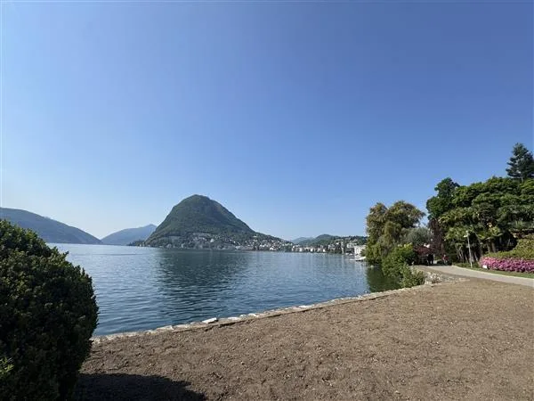 Lugano: Commercio / negozio 1 locale