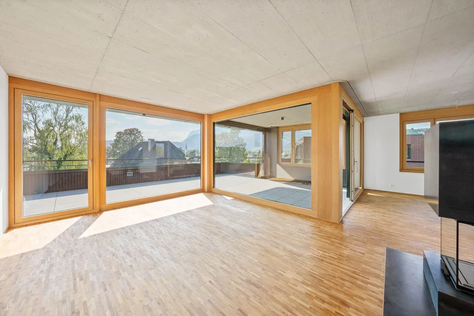 5.5-Room Penthouse Apartment