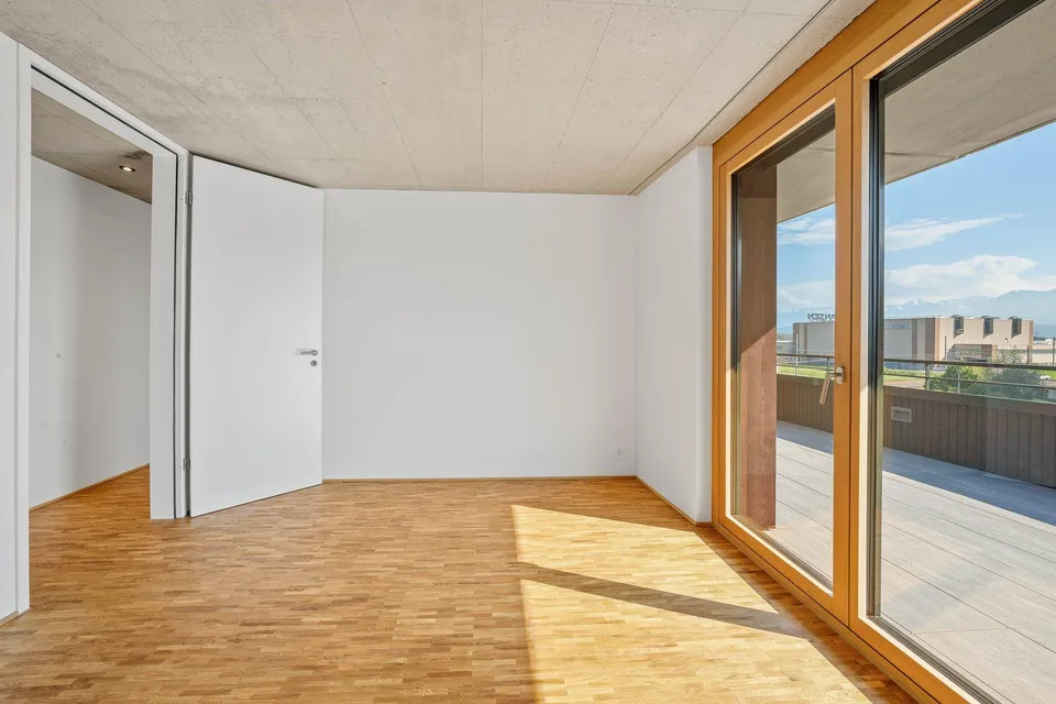 5.5-Room Penthouse Apartment