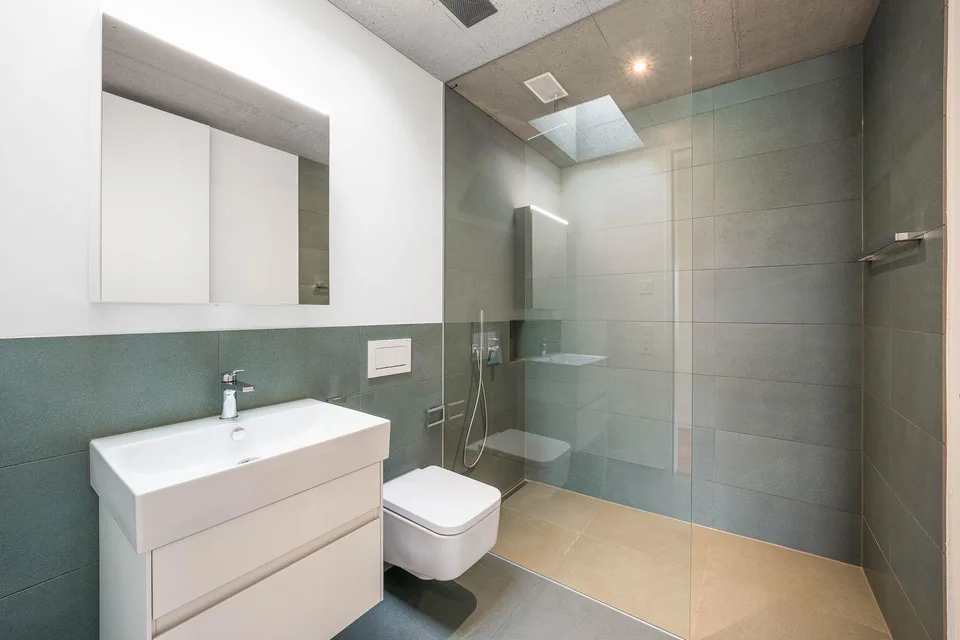 5.5-Room Penthouse Apartment