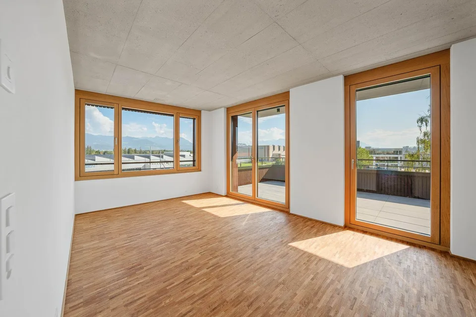 5.5-Room Penthouse Apartment