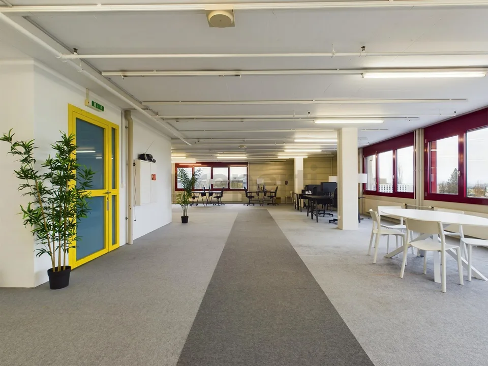 Grosszügiges und modernes Büro in Zollikofen