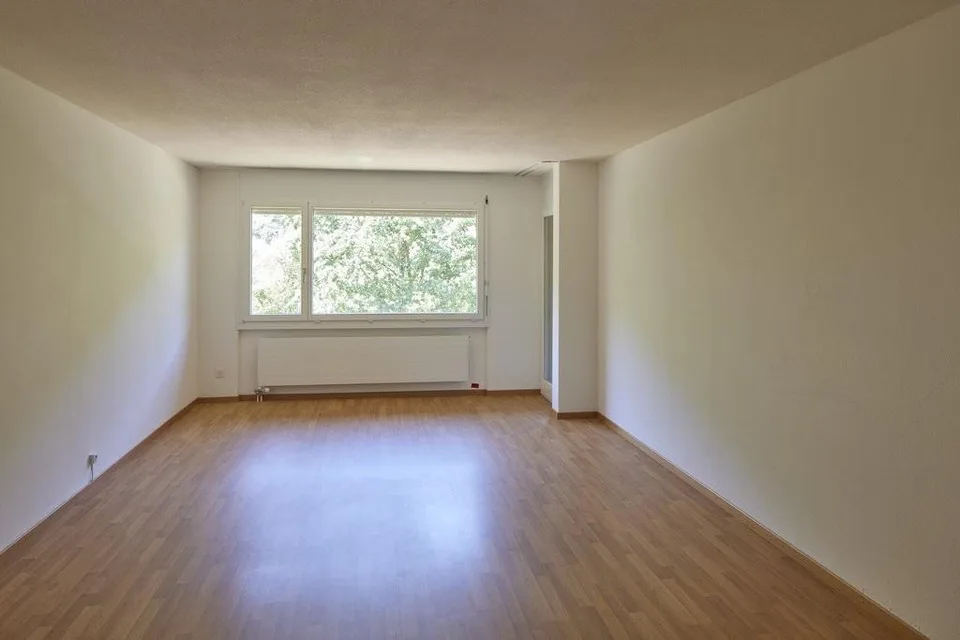 MIETEN OHNE KAUTION - Gemütliche Wohnung mit Aareblick