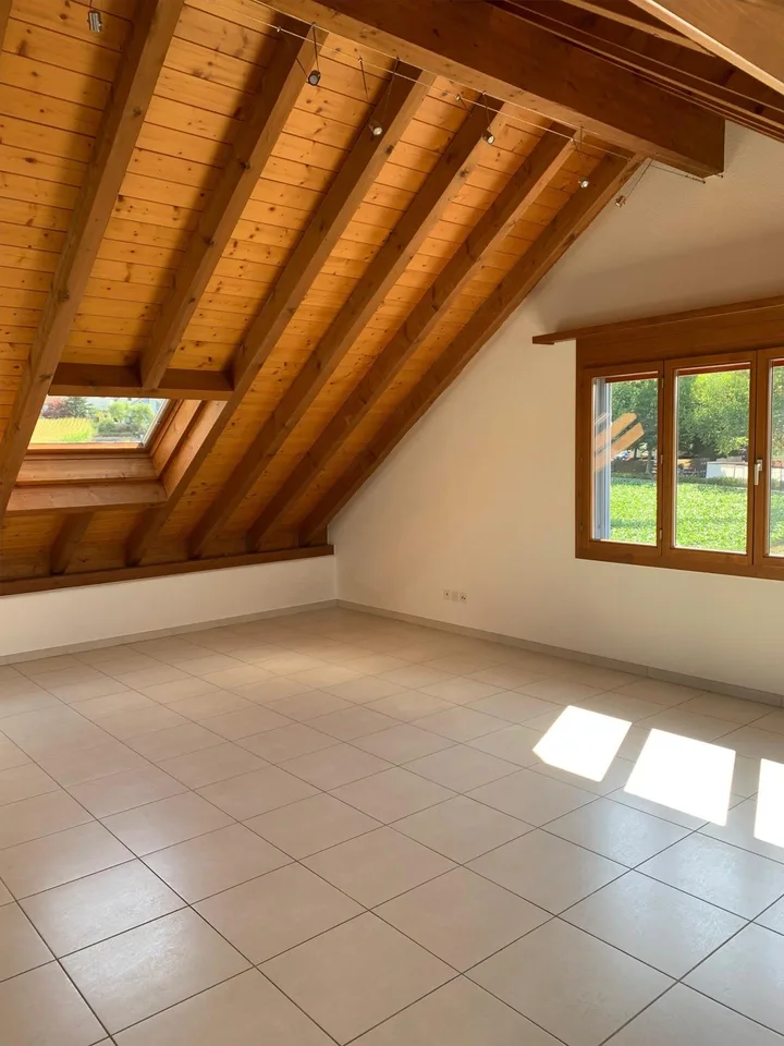 Grosszügige Wohnung mit Charme