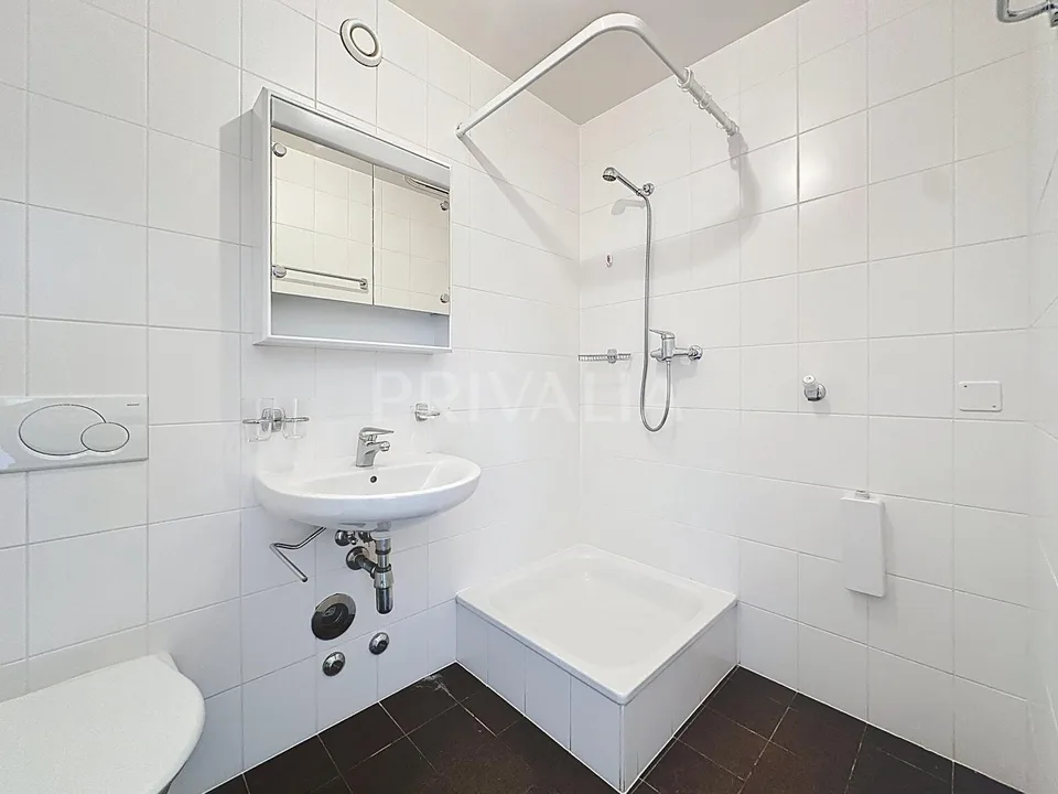 Spacieux appartement au coeur d'un immeuble moderne et sécurisé ave... – photo 13 sur 21