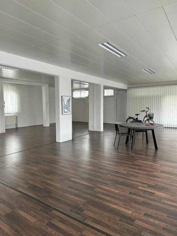 Top Gewerberaum mit viel Licht und idealer Präsentationsfläche