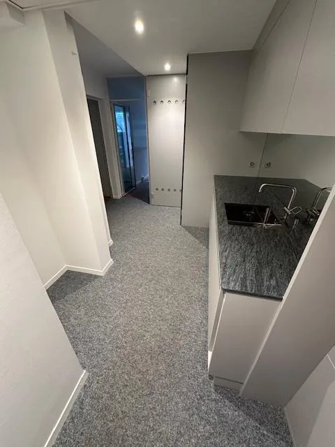 3 Räume mit kleiner Küche, Dusche+WC im Tiefparterre